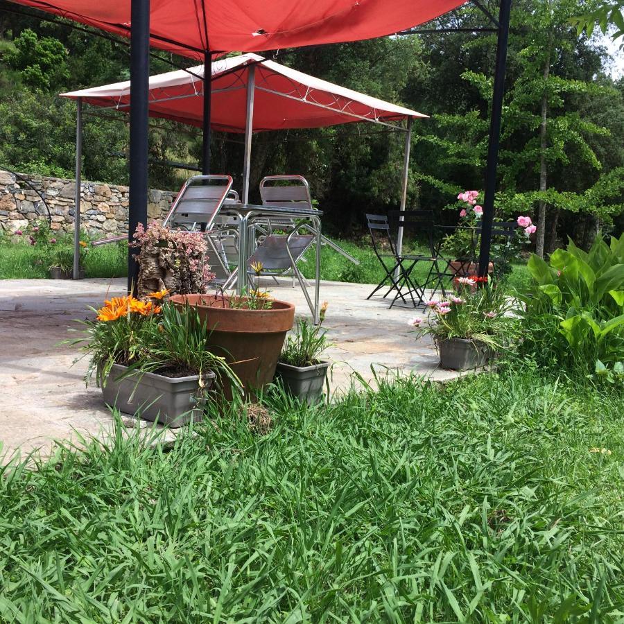 Ernella Hotel อาเลอเรีย ภายนอก รูปภาพ